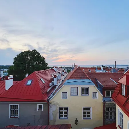 Old Town Escape With Stunning Skyline - Spacious 2bed 公寓 塔林